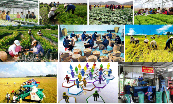 Tăng cường hợp tác quốc tế về phát triển kinh tế tập thể, hợp tác xã